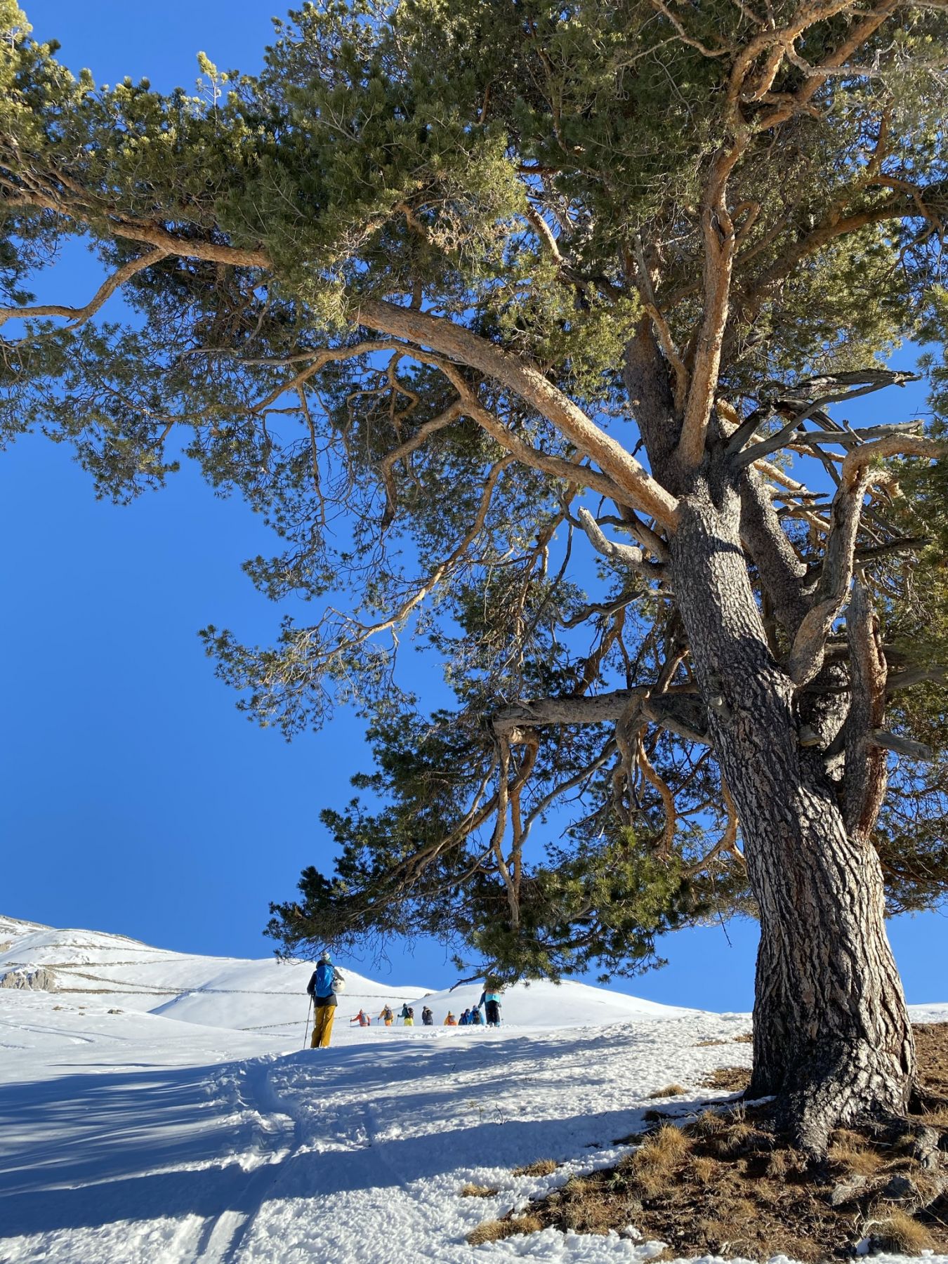Ски-тур в Архызе