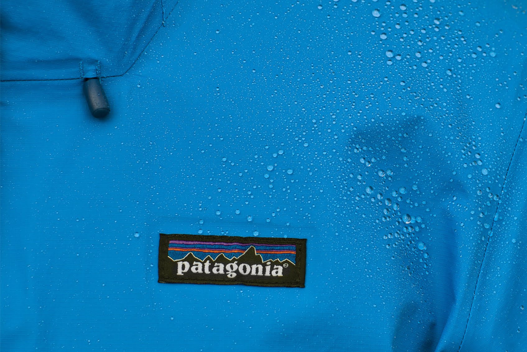 Patagonia H2No