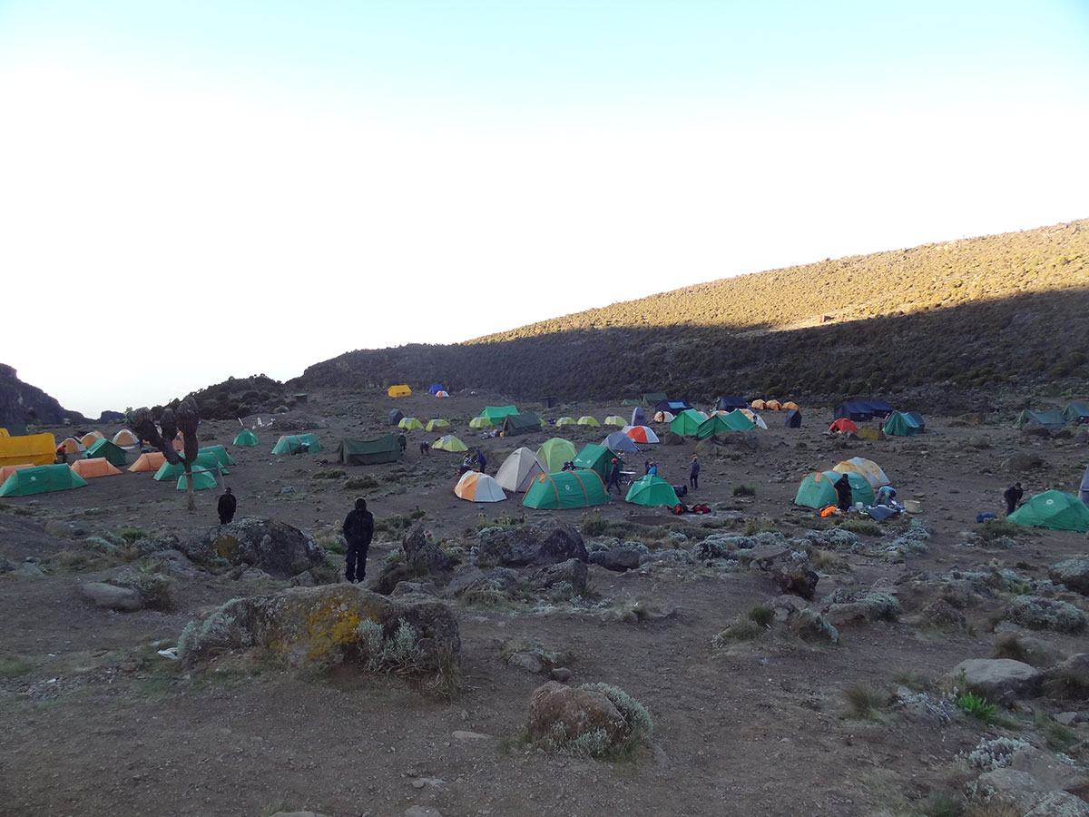 Новый год на вершине Килиманджаро 