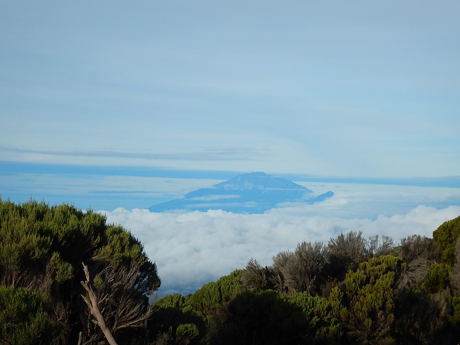 Восхождение на Килиманджаро