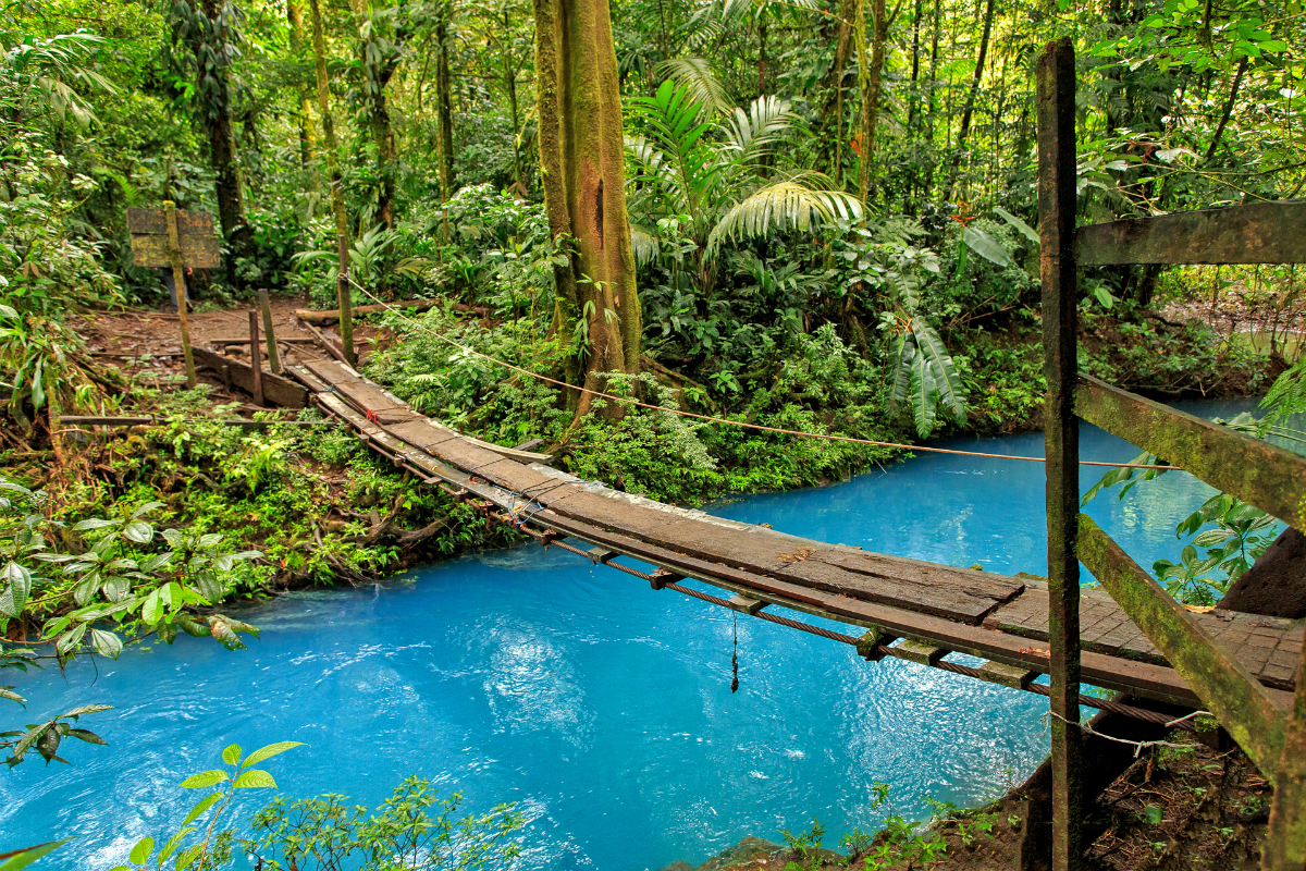 Река в парке Тенорио. Коста-Рика