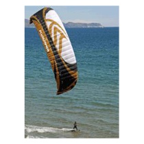 Кайт парафойл Flysurfer 2011 Speed 3 12.0 Кайт парафойл Flysurfer 2011 Speed 3 12.0