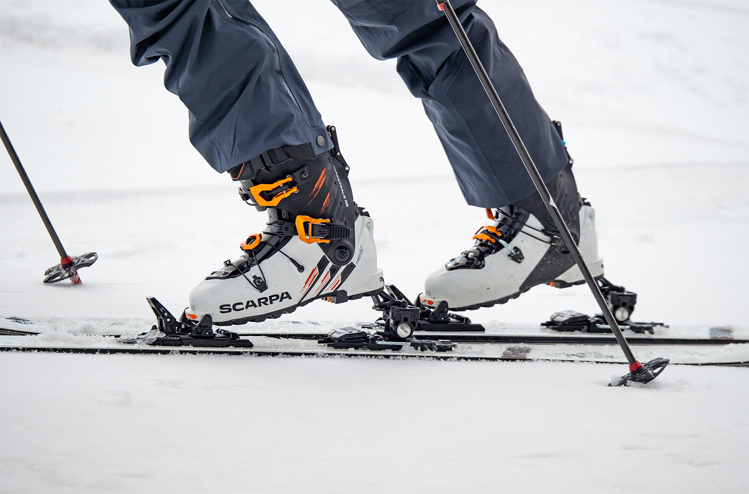 Обзор горнолыжных ботинок Scarpa Maestrale RS | Новости и статьи