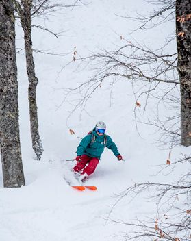 Итоги тестов Алексея Тинаева лыж Movement Skis GO 115