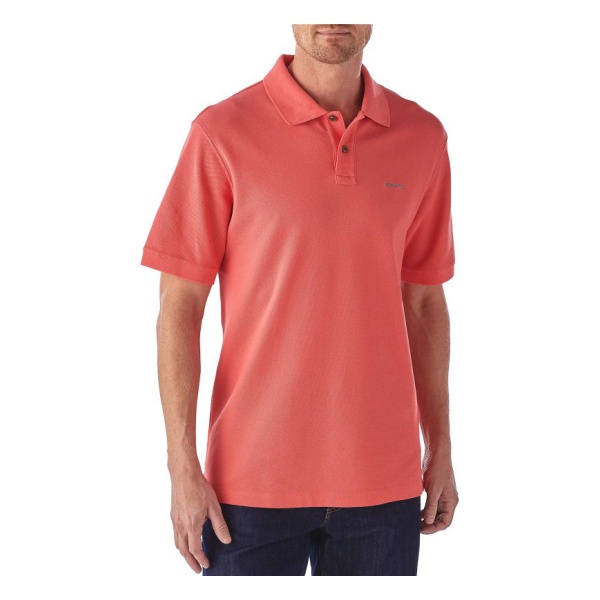 Patagonia discount belwe polo