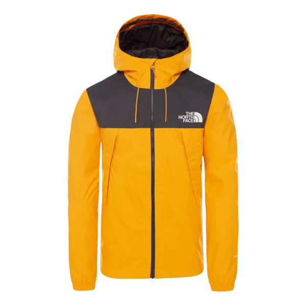 The North Face The North Face 1990 Mountain Q
