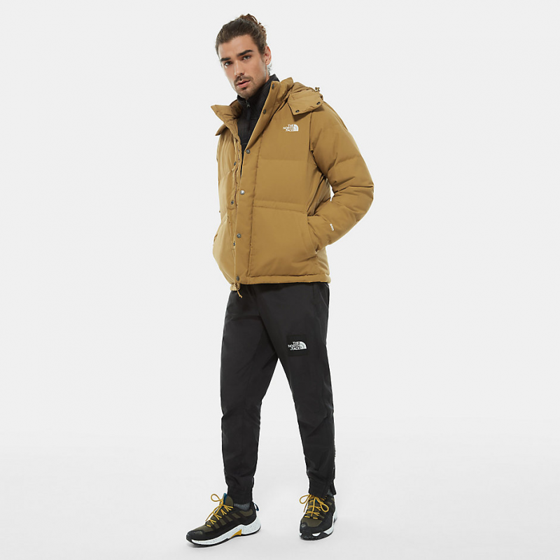 North face box canyon outlet jacket