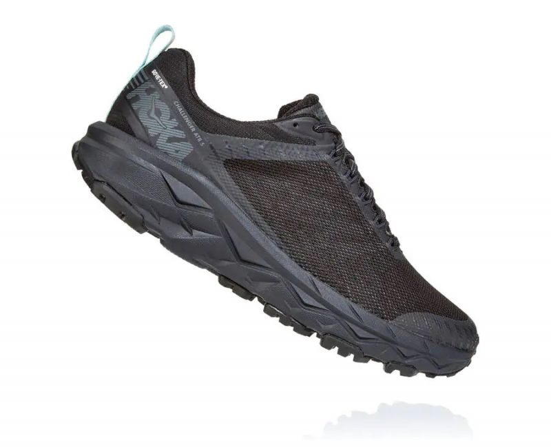 Кроссовки Hoka W Challenger ATR 5 GTX 