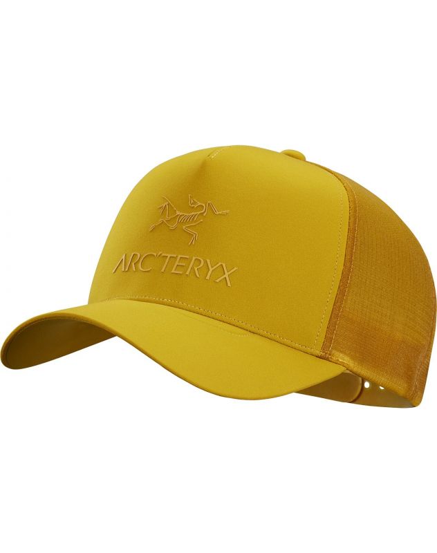 Купить Бейсболка Arcteryx Logo Trucker Hat