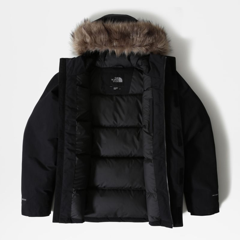north face parka homme