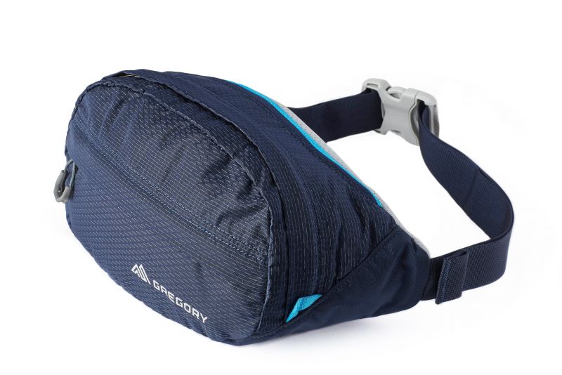 Gregory discount nano backpack