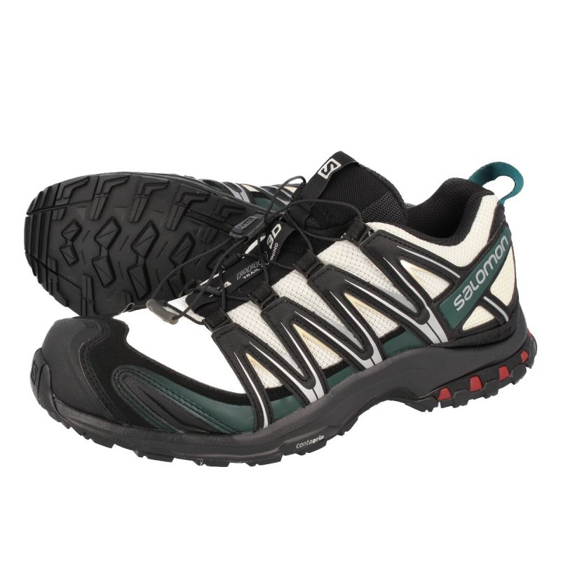 Salomon pro best sale 3d gtx w