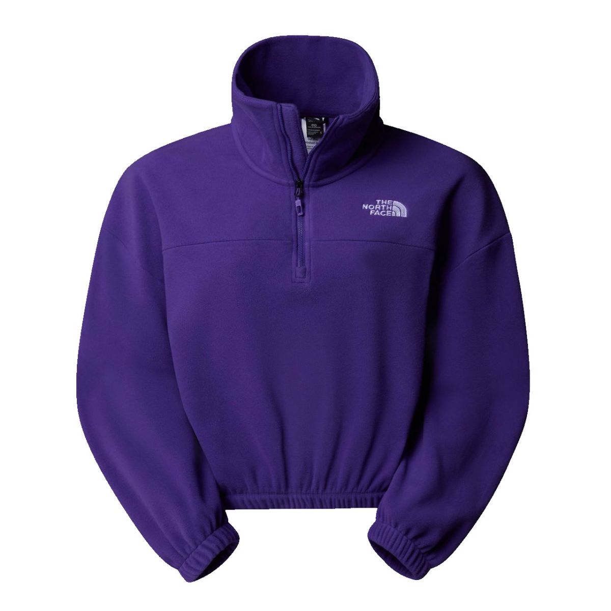 THE NORTH FACE 100 GLACIER HALF ZIP