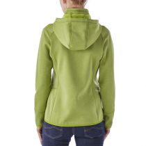 patagonia tech fleece hoody